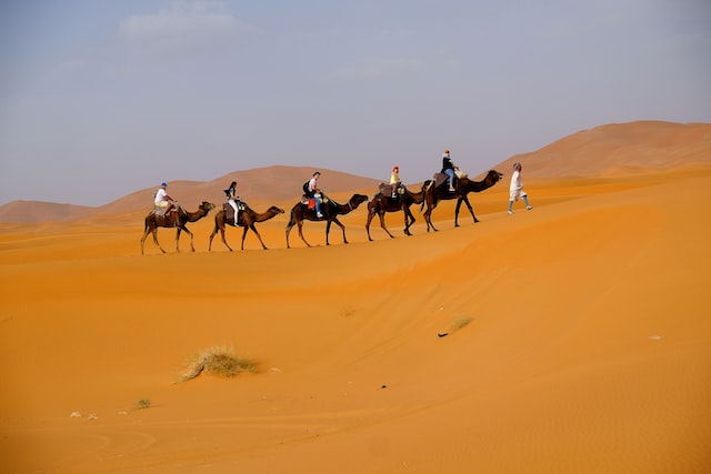 camel trekking