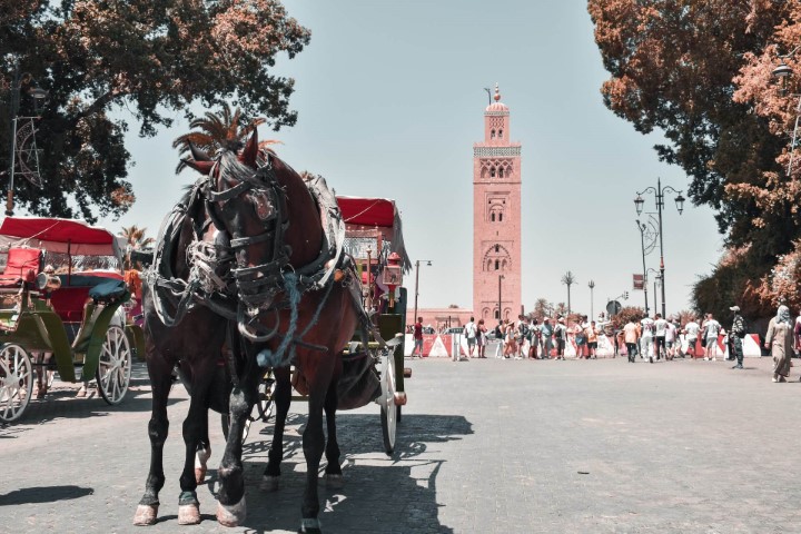 marrakech to ait ben haddou